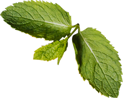 ALICOIN | Comedor industrial en Ciudad de México